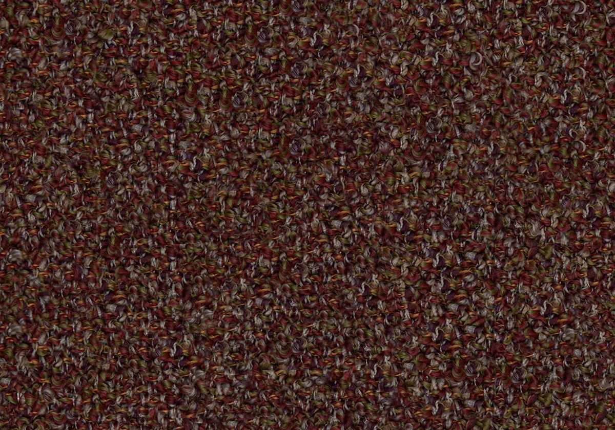 MS237