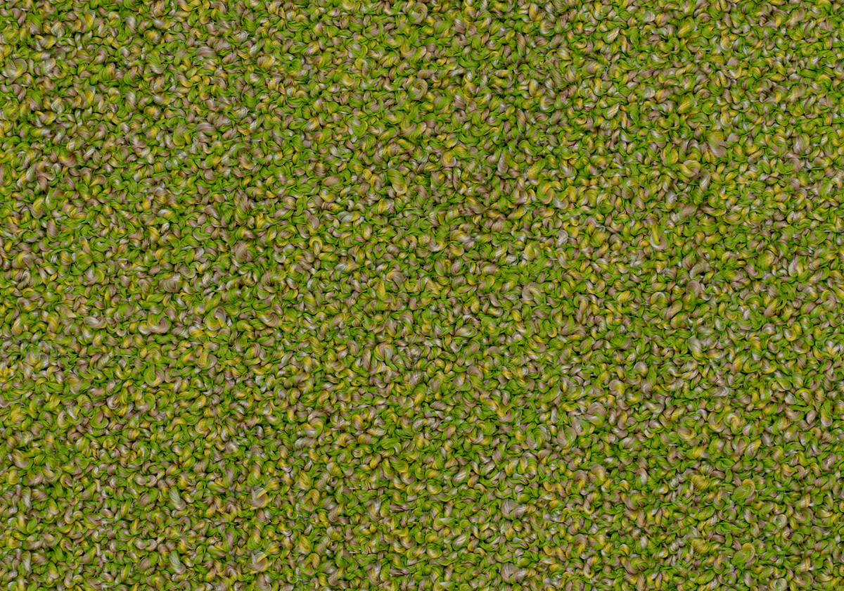 MS221