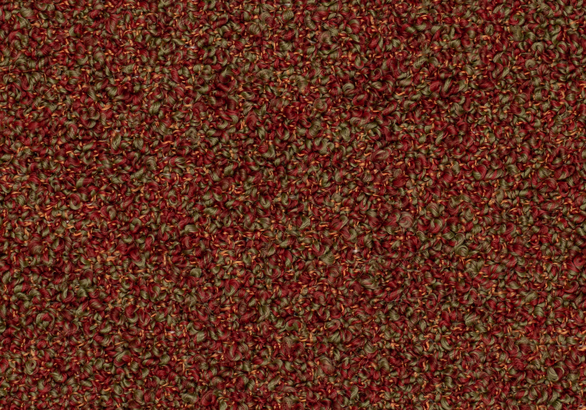 MS234