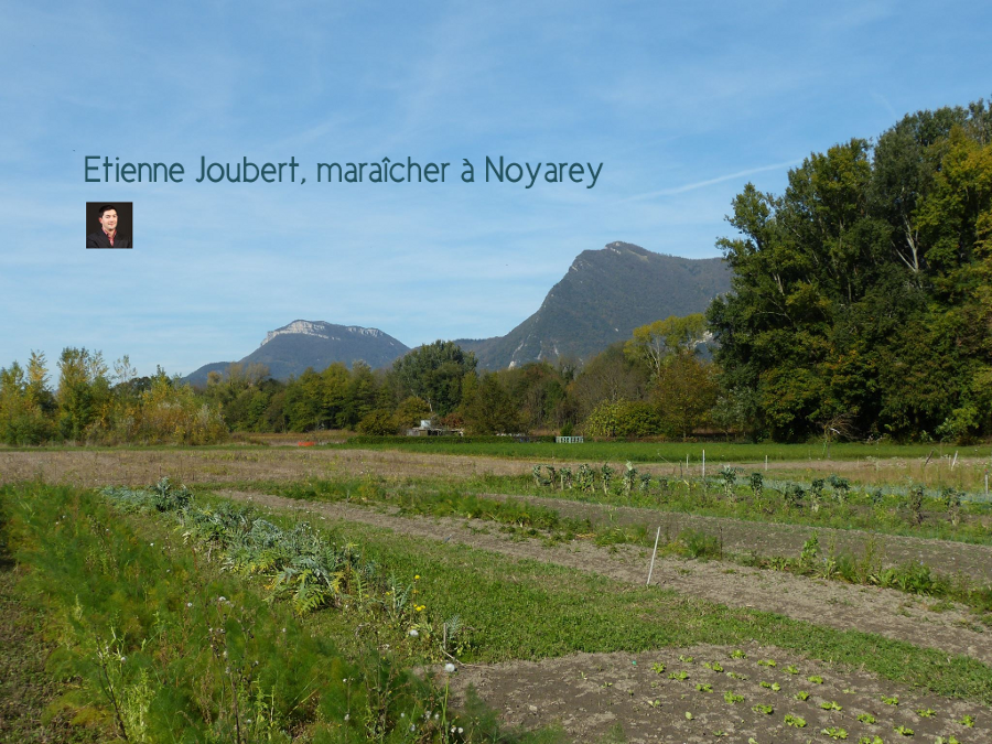 Vue sur la Chartreuse depuis le jardin d'Etienne Joubert