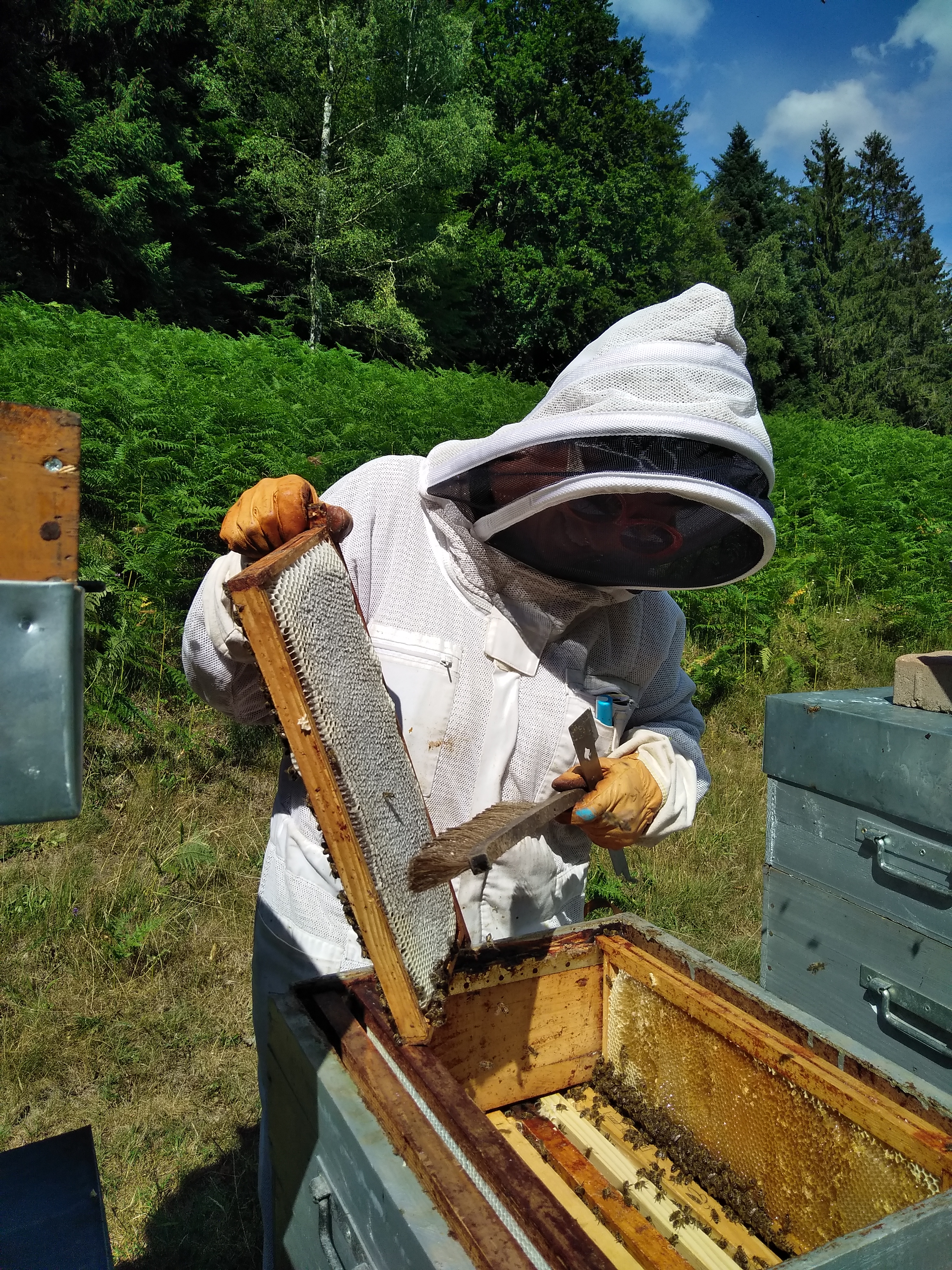 l'apicultrice Valerie