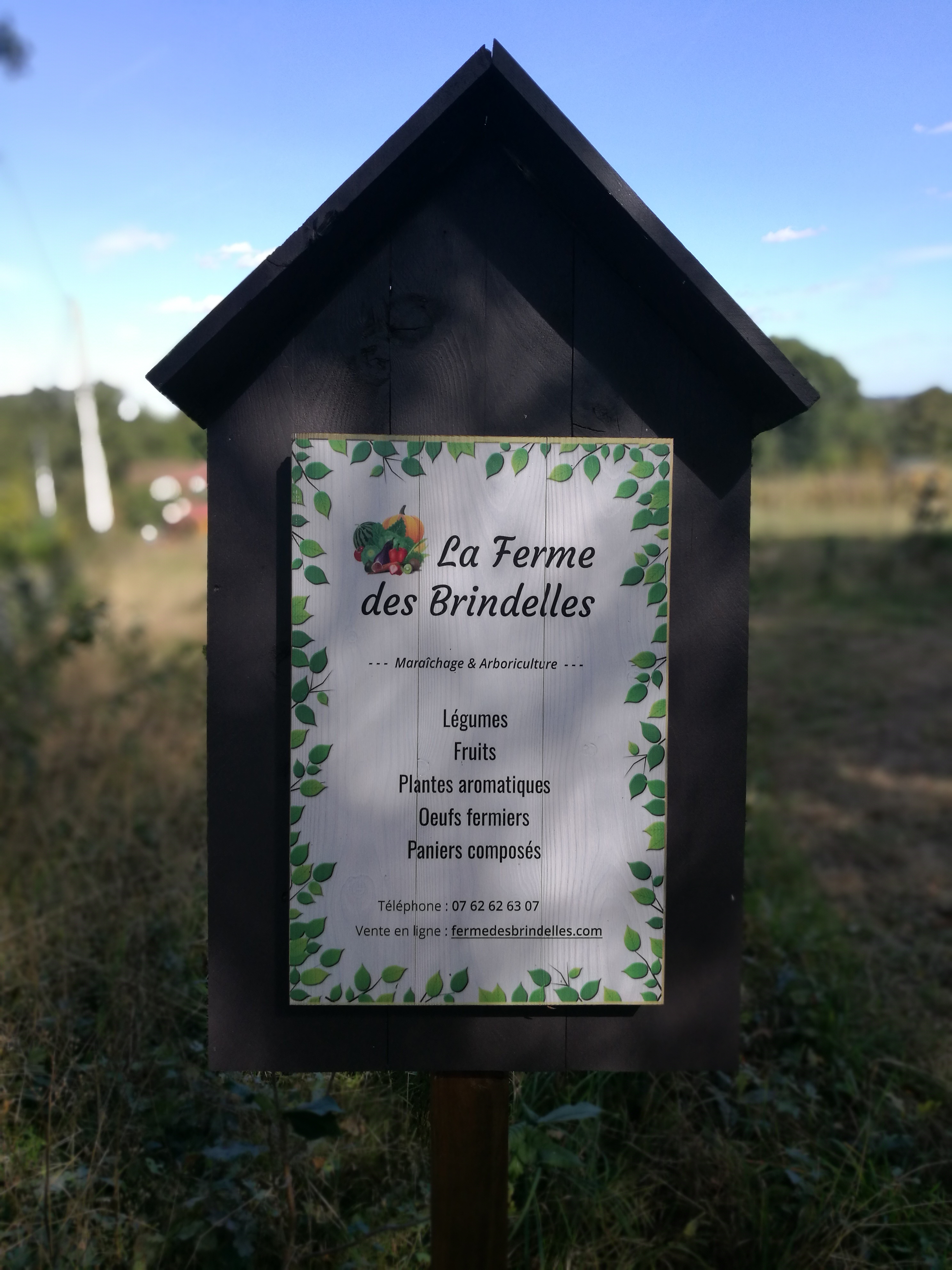 La Ferme des Brindelles, maraîchage et arboriculture  éco-responsables à Avezé (72)