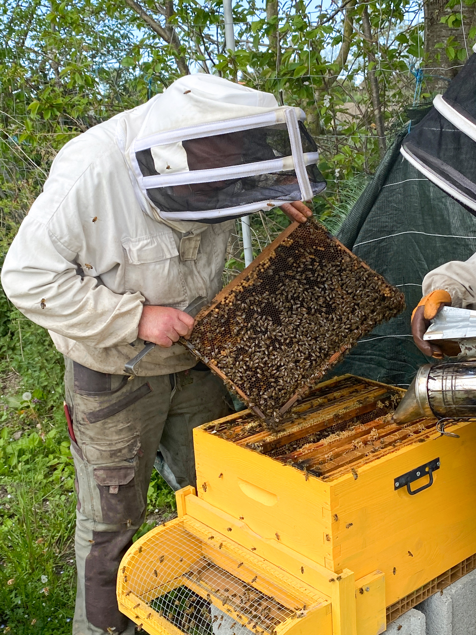 La Ruche Auvergnate - Encaustique maison à la cire d'abeille pure