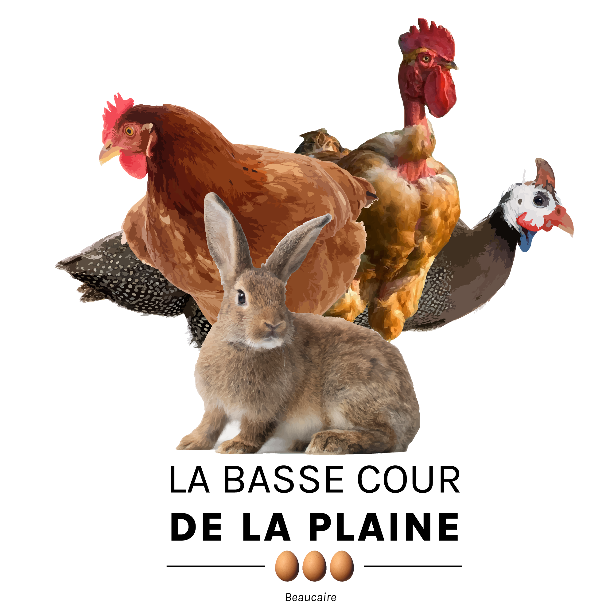 Polux St-Sauveur - Du nouveau à votre magasin Polux St-Sauveur, nous avons  maintenant de la paille pour vos petits animaux tels : poulets, lapin poules  ou autres.