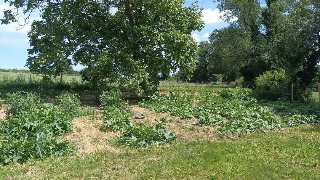 Au jardin 