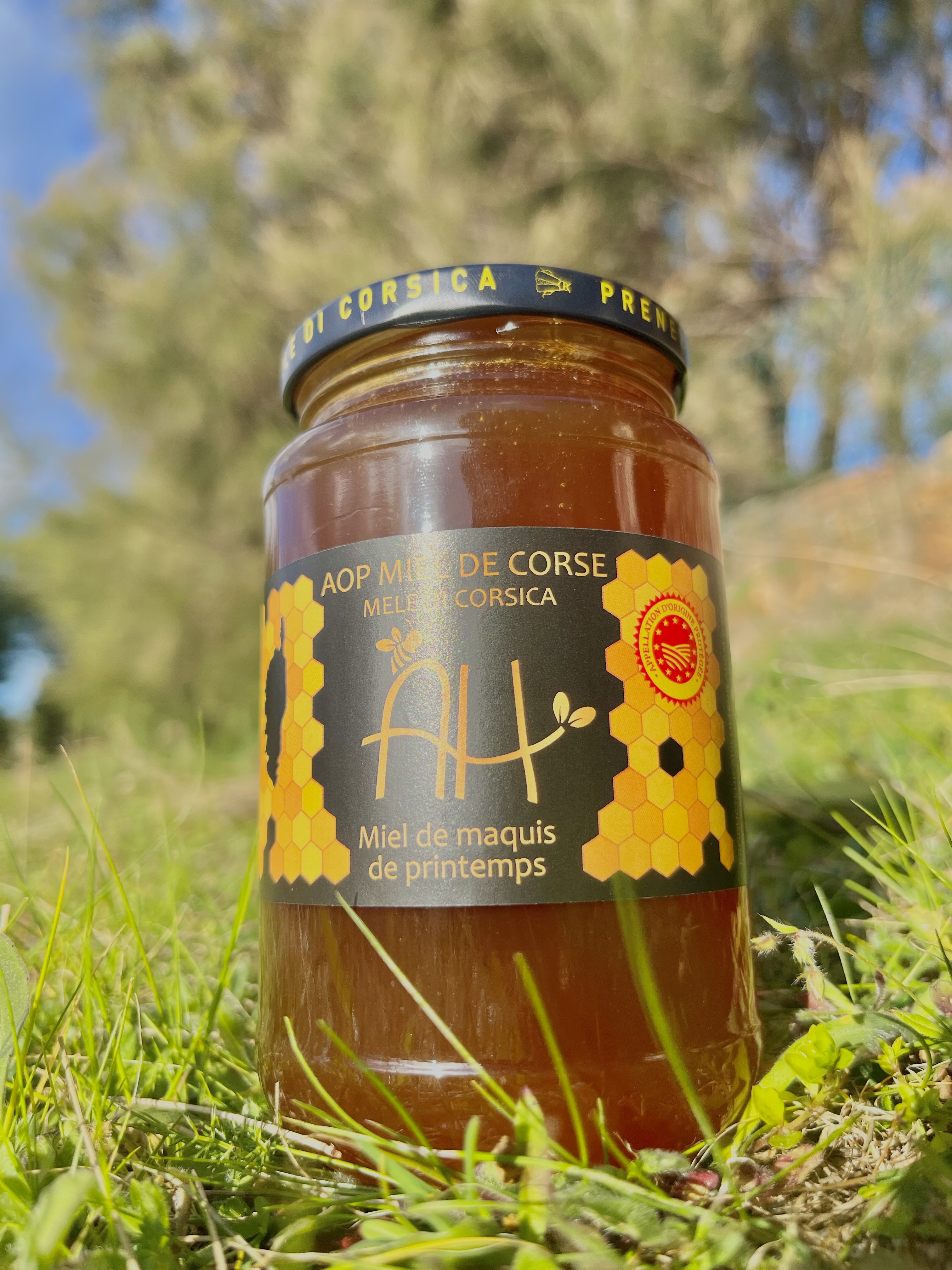 miel de maquis de printemps