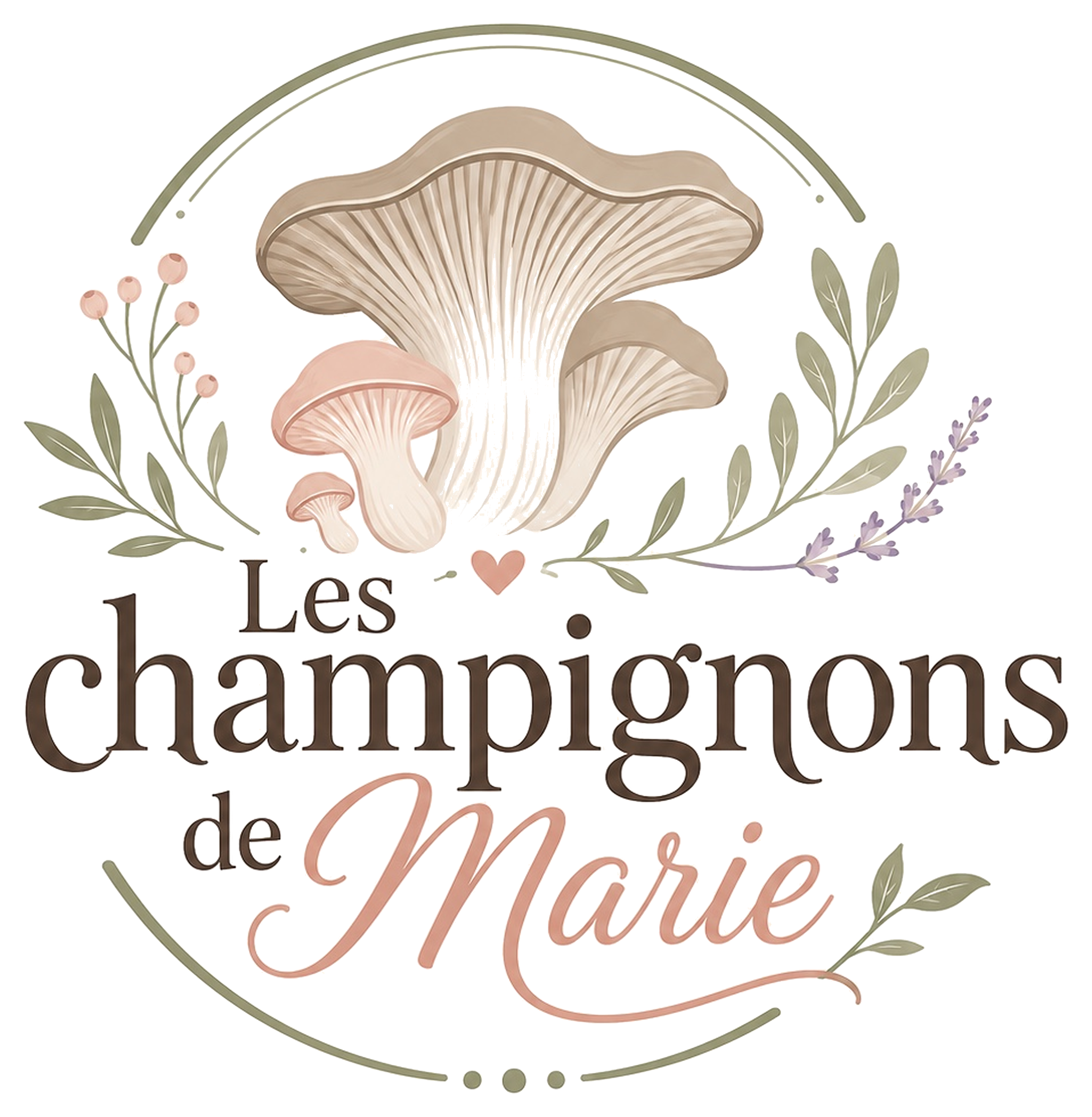 Les champignons de Marie