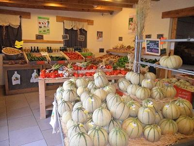 Melons du Poitou en vente directe