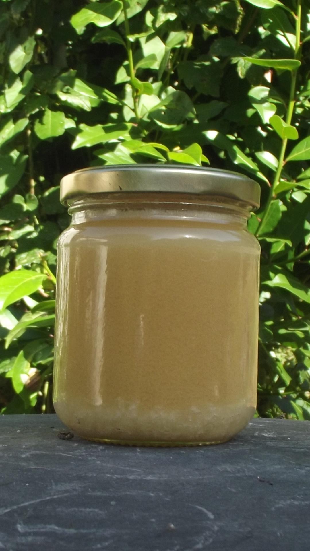 Miel de printemps cristallisé - 250 grs - Metaczyk'Api