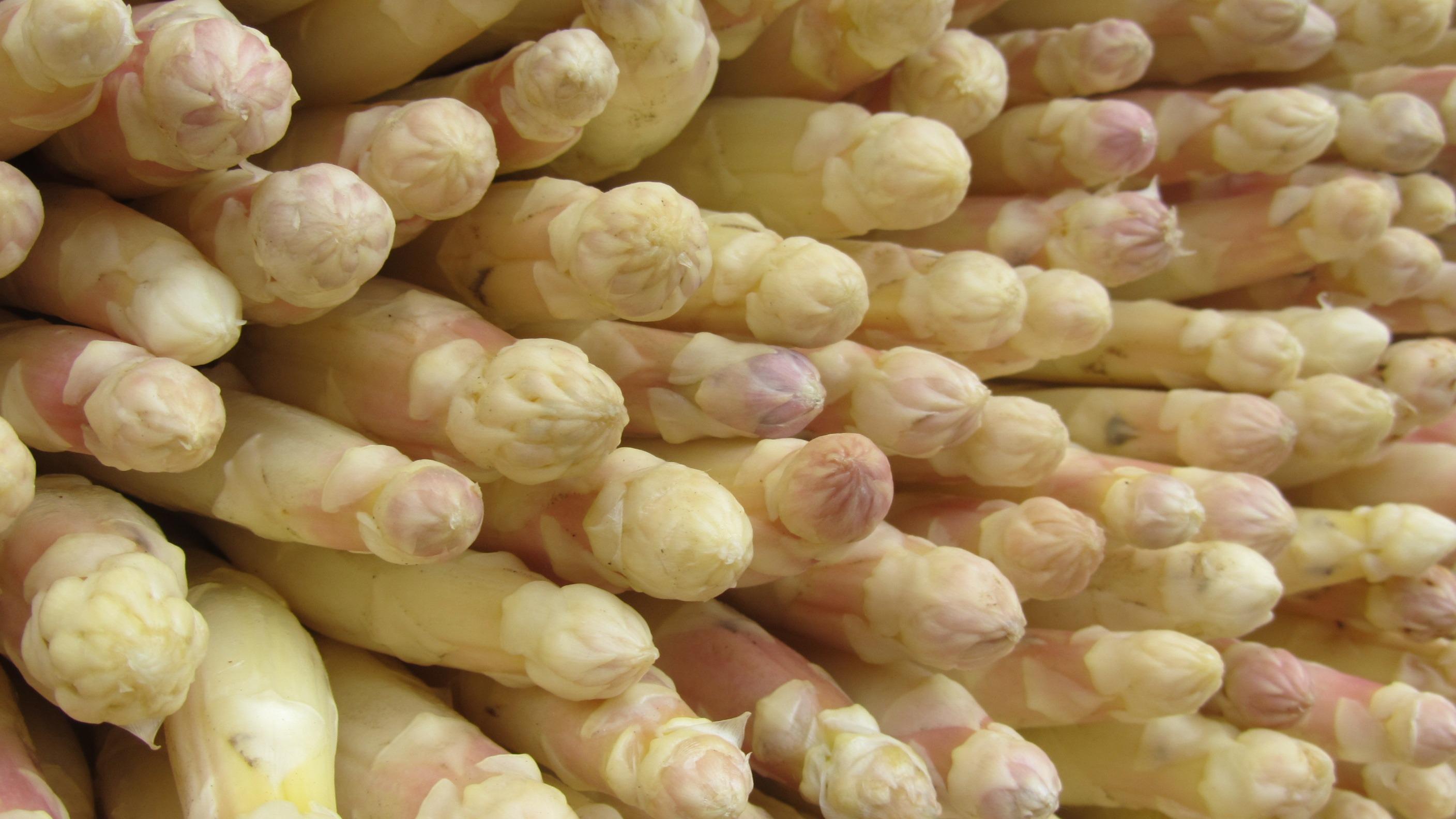 asperges blanches ( 11h - 13h)