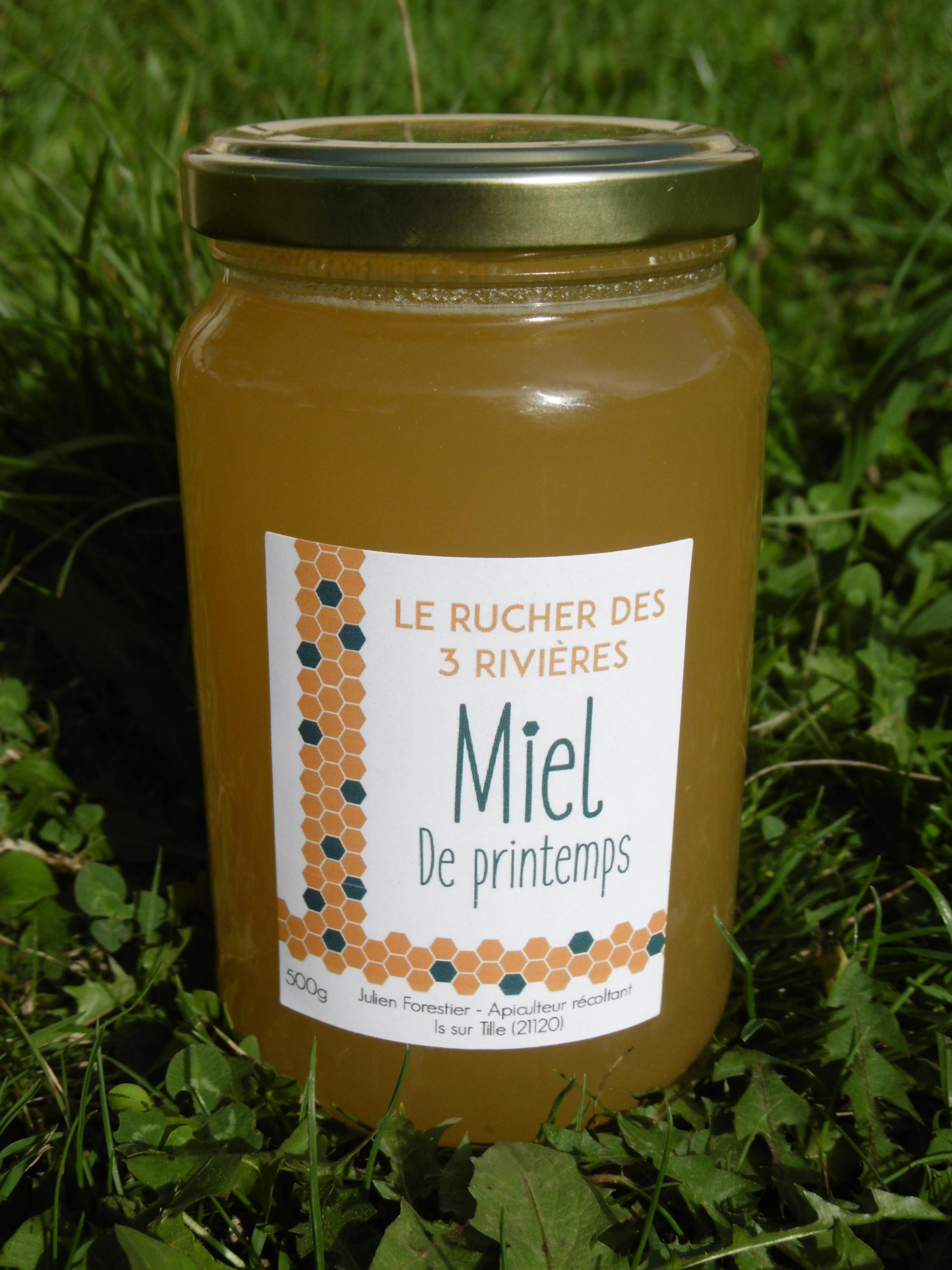 Miel d'acacia liquide bio - Gabriel Perronneau