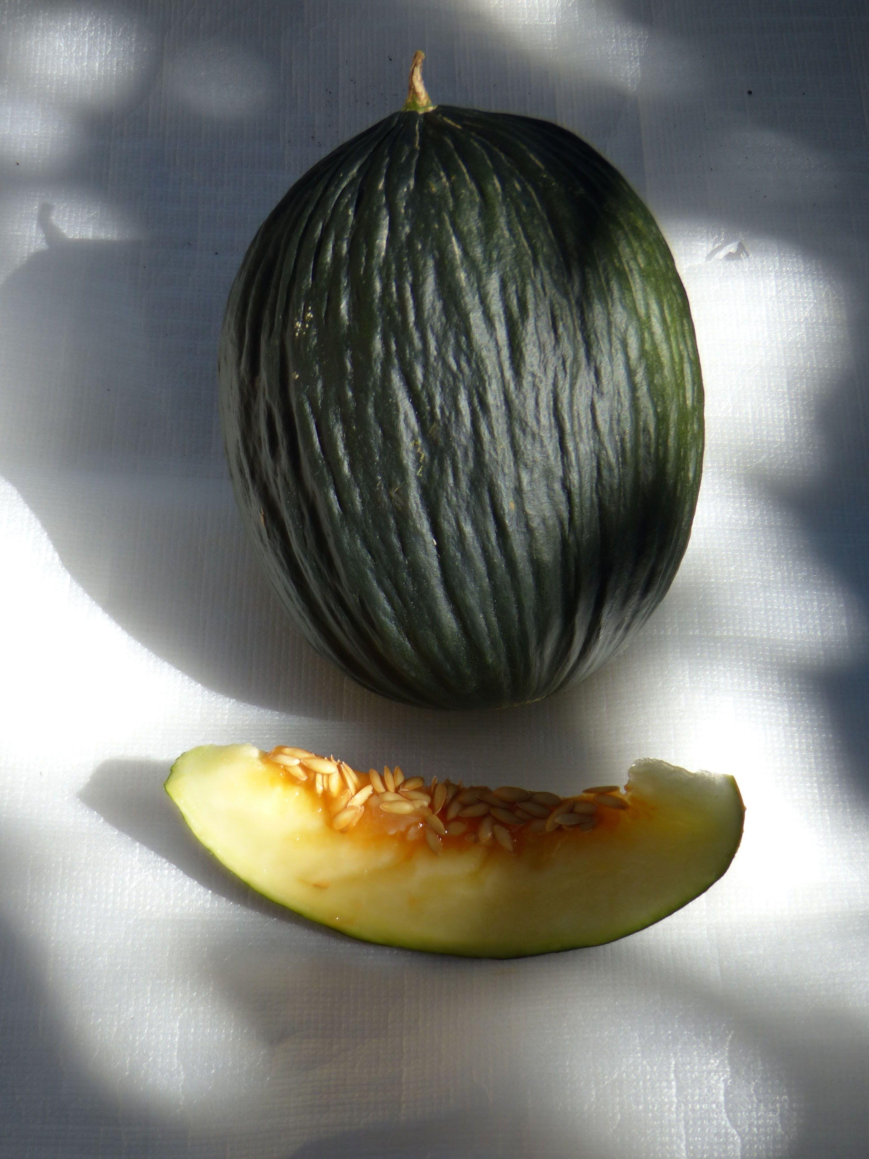 Melon Verdao