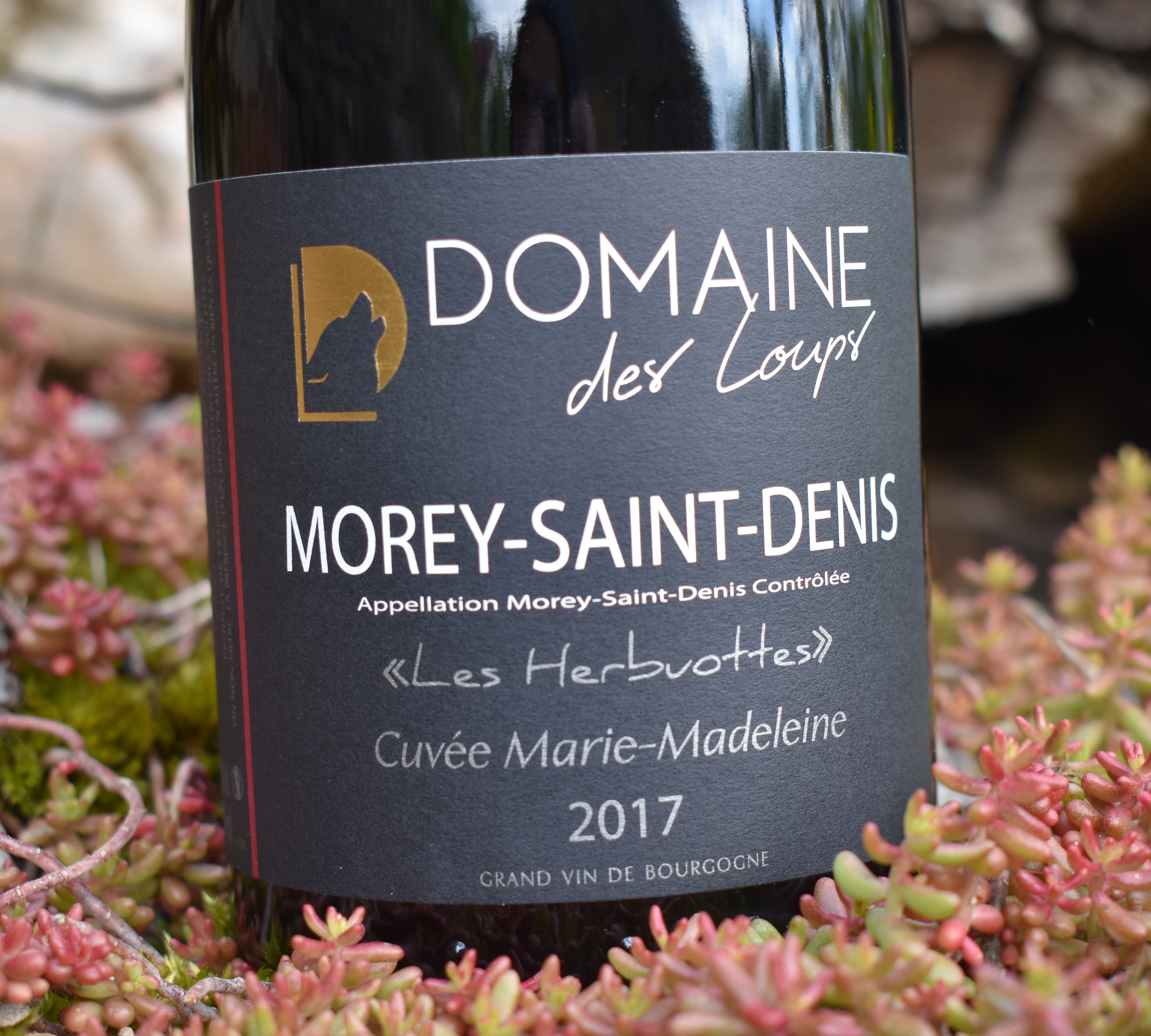 Morey-St-Denis 2017