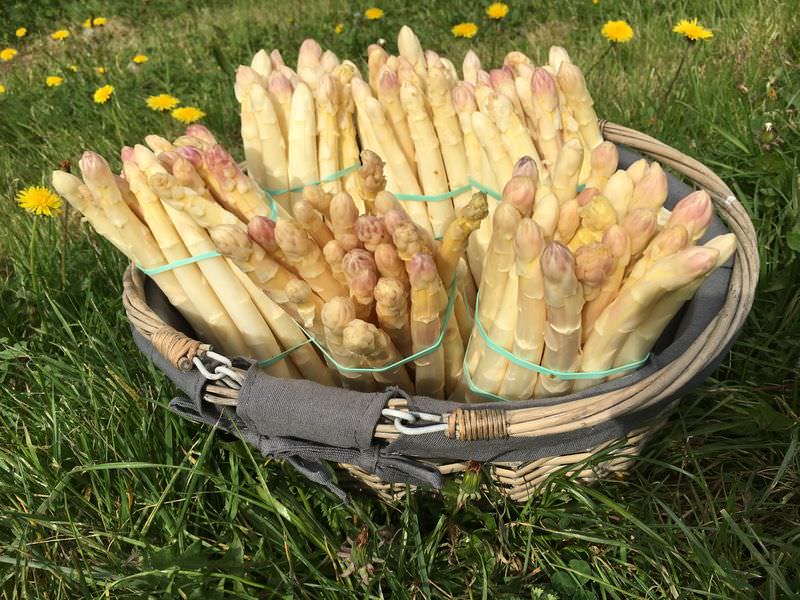 Asperges Blanches