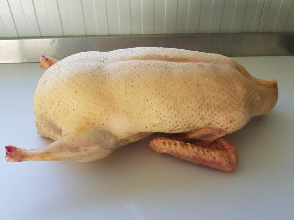 Canard Gras Entier GAEC BORDES Vente Directe Producteur CUDOS 33430 