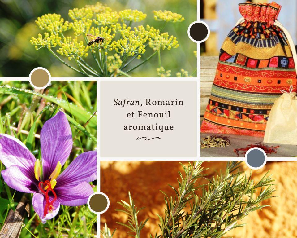 Infusions Safran Romarin Fenouil aromatique
