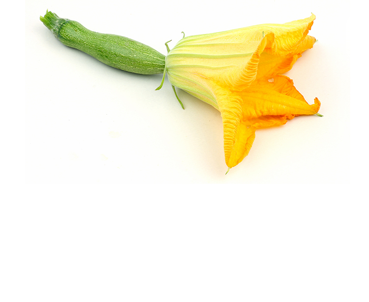 Fleurs de courgettes femelles bio (les 6 ) - le domaine des 3B - Vente directe producteur - Entressen (13118)