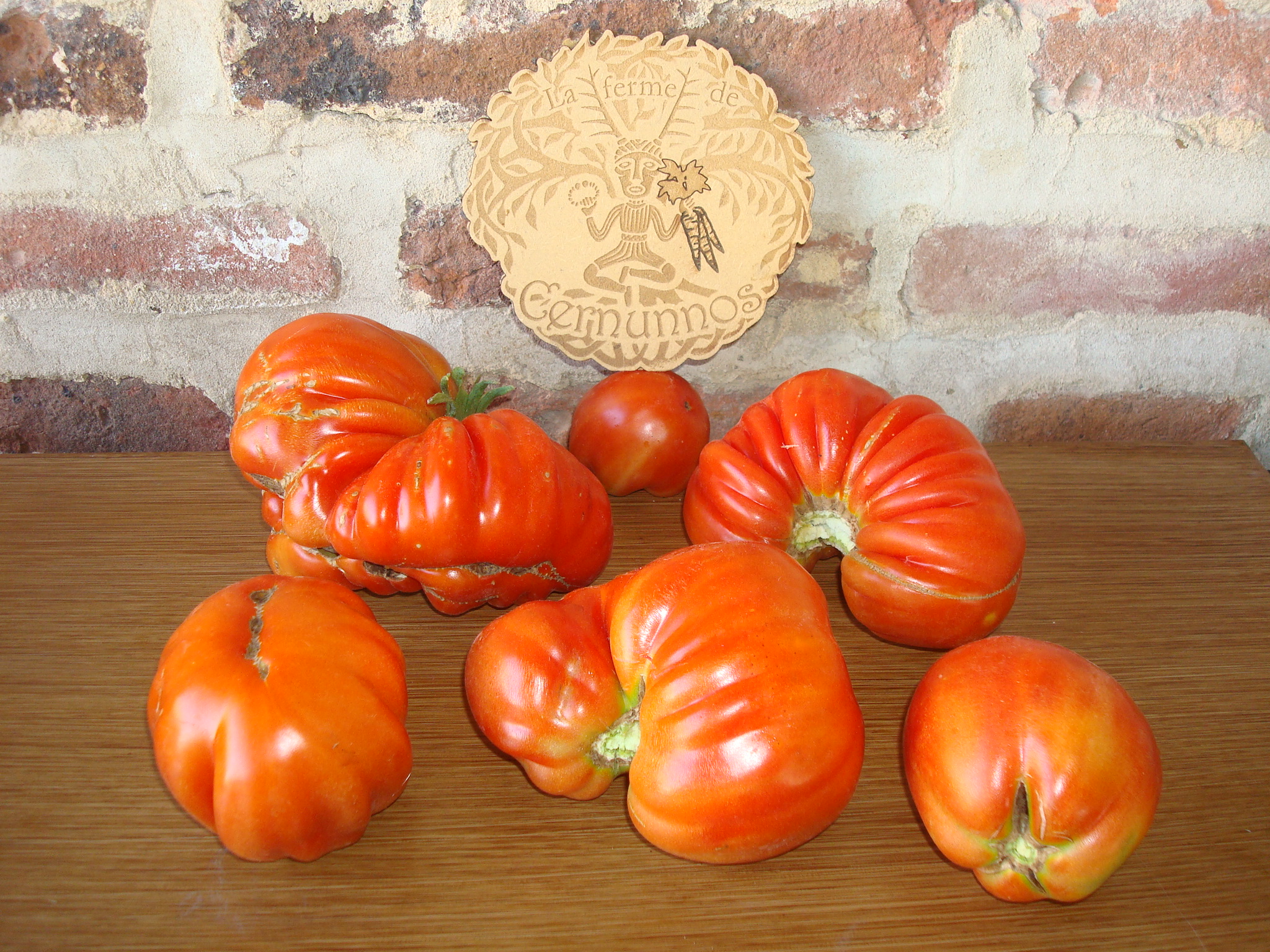 tomates