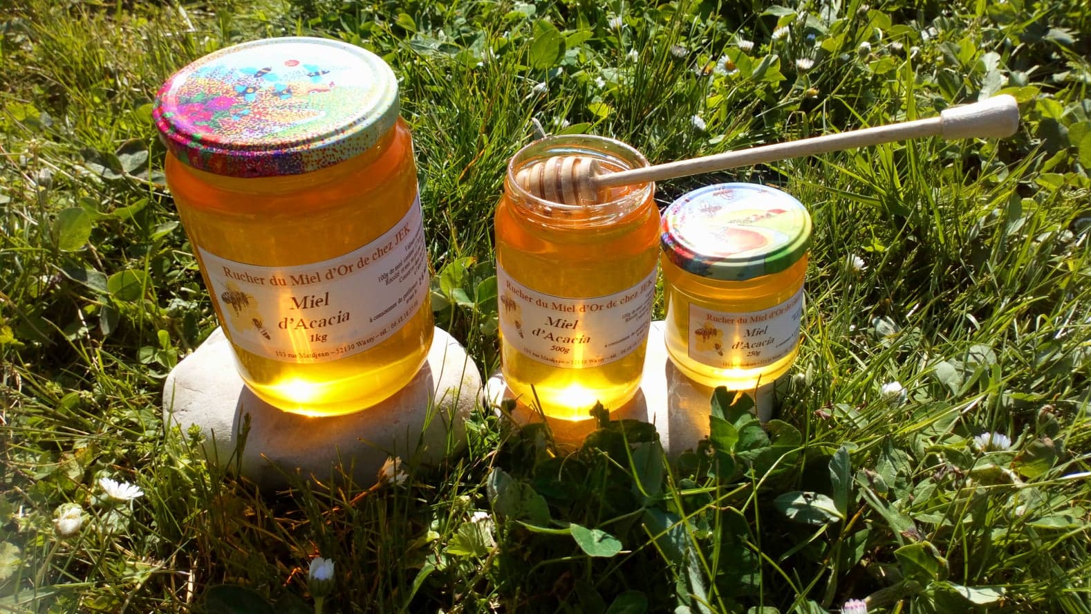 miel d'acacia 500g  