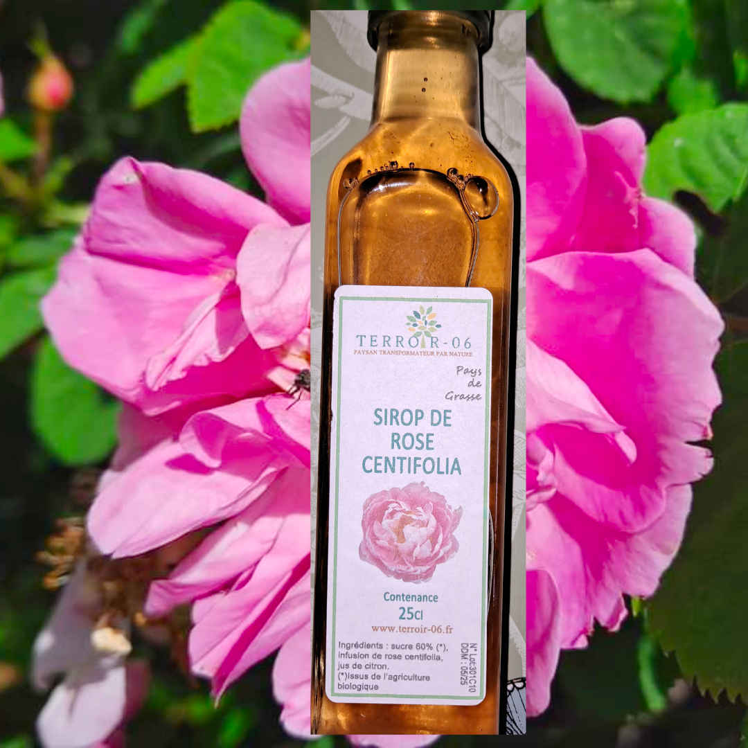 Sirop de rose centifolia – bouteille de 25 cl
