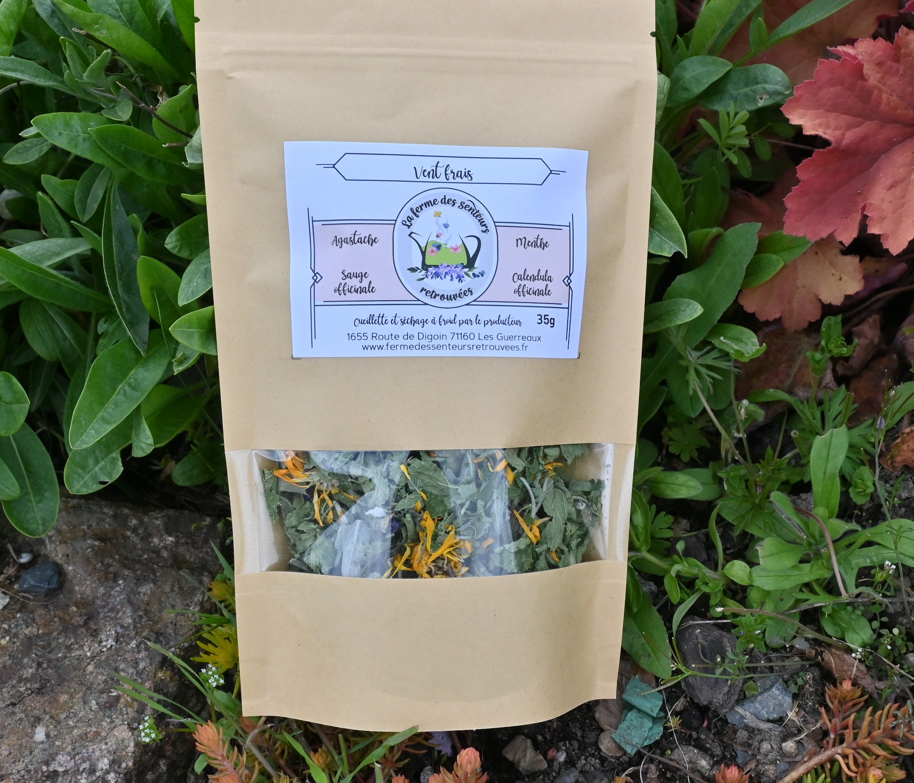 Tisane Vent frais en sachet de 35 g