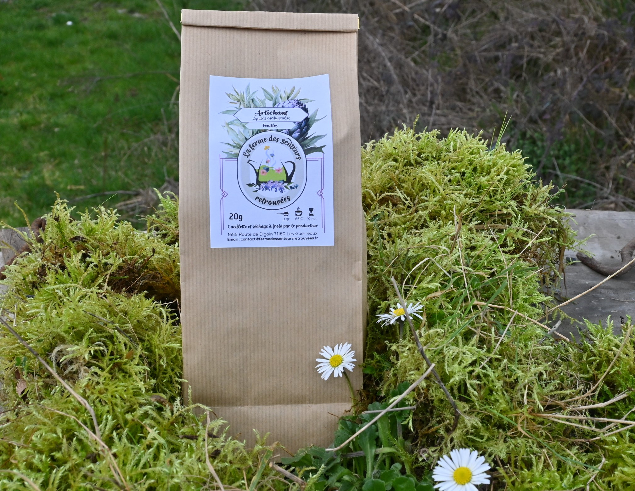 tisane ARTICHAUT en sachet de 20 g.