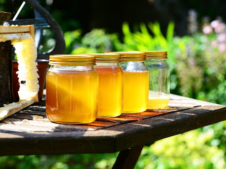 Miel de forêt 500 grammes 