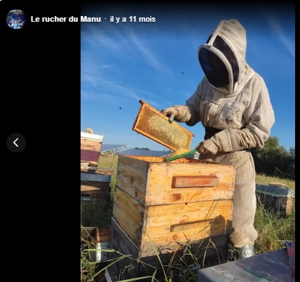 la porpolis est grattée dans les ruches en bois