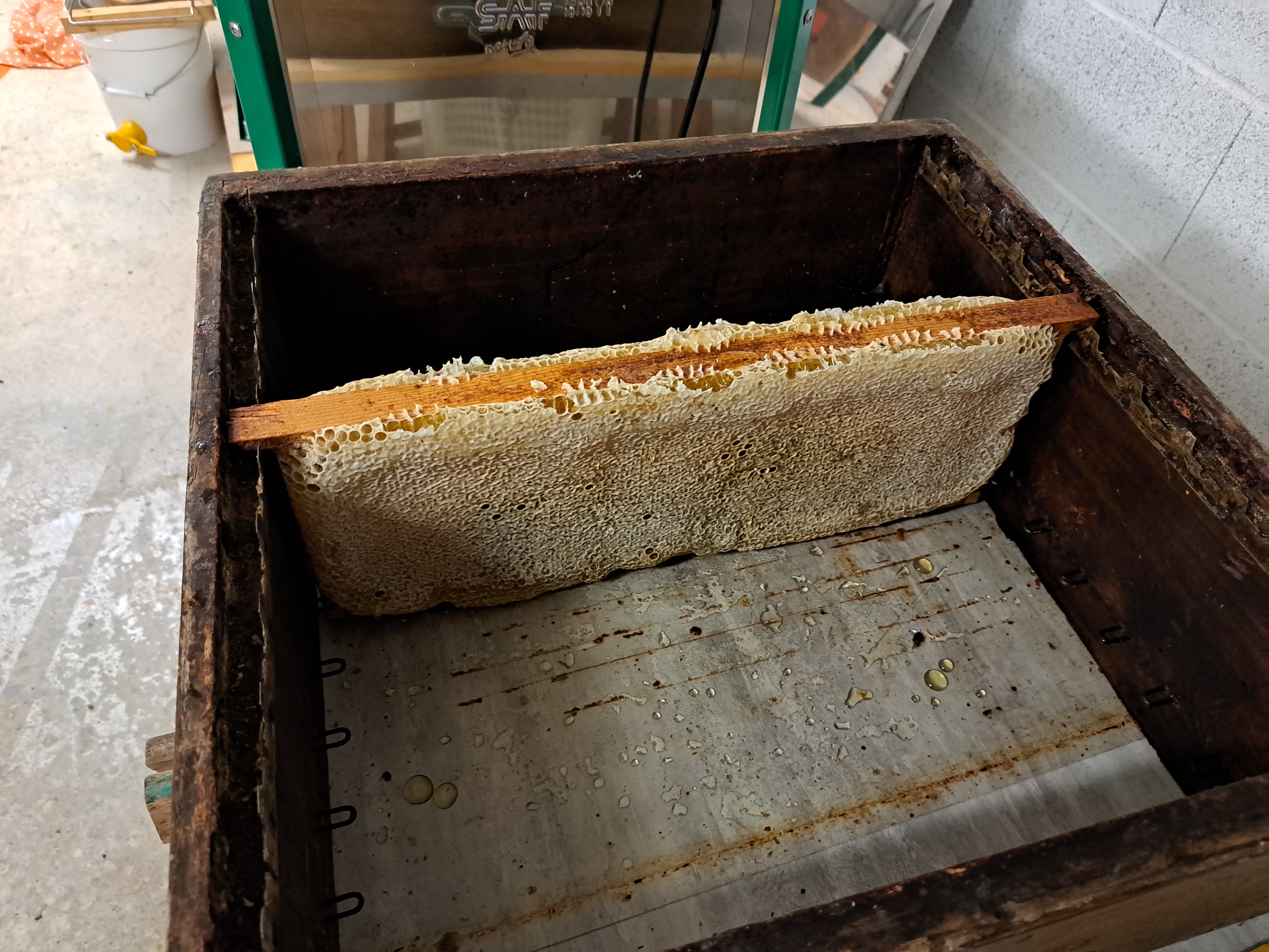 Miel du Limousin de Veyrac