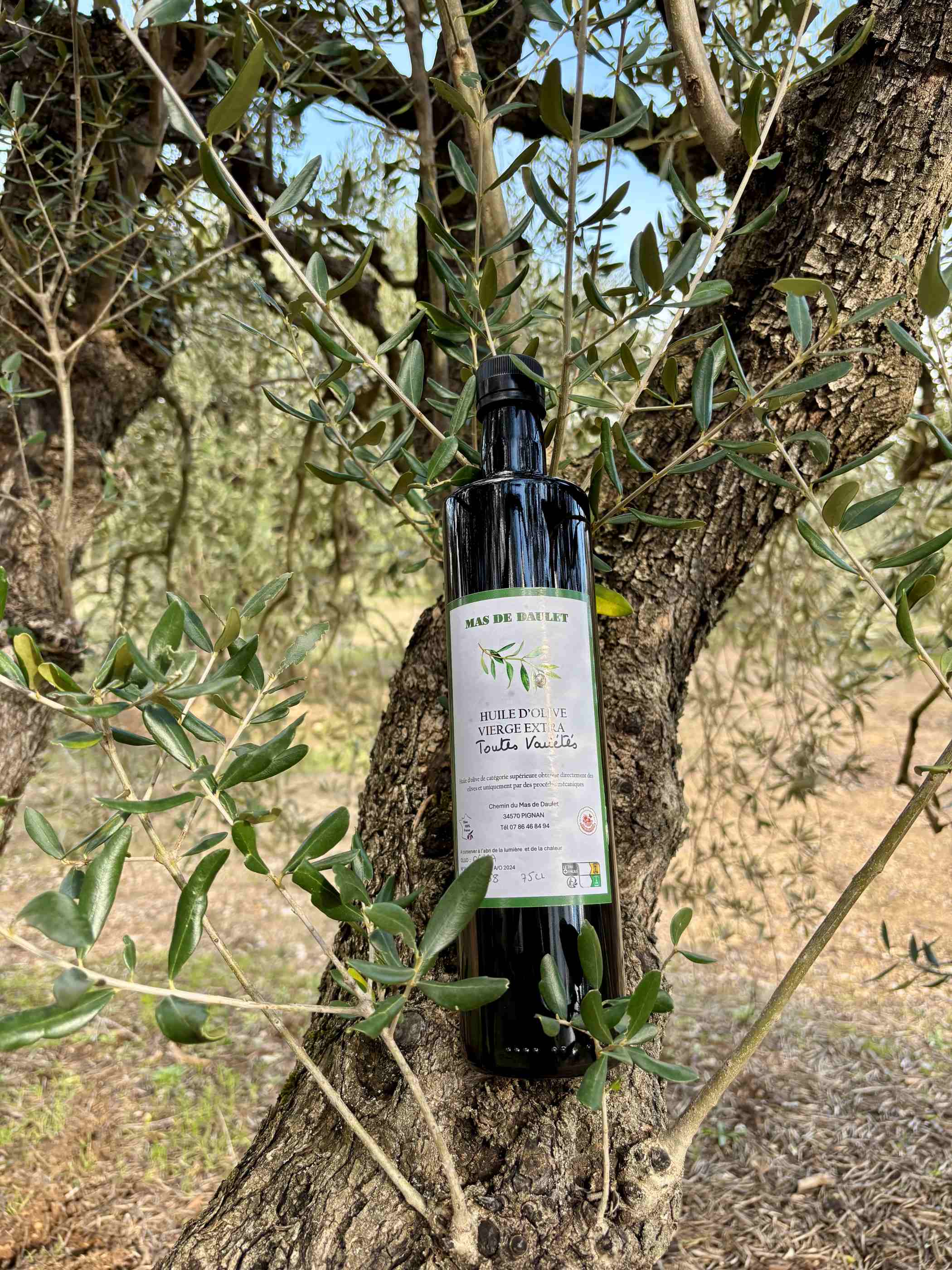 Toutes Variétés 50cl