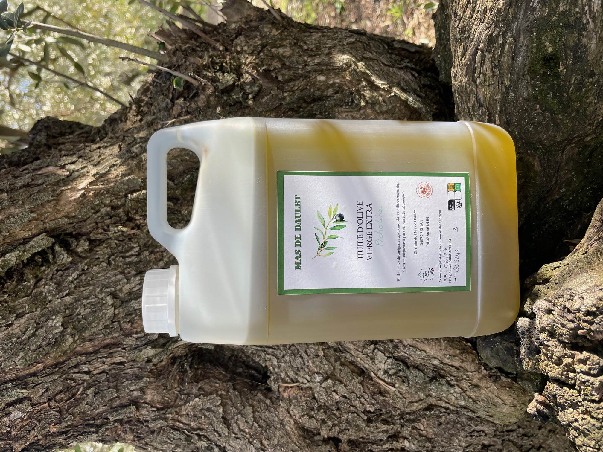 Picholine 3L