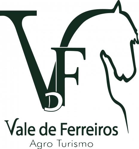 Logo CDI3` VDF